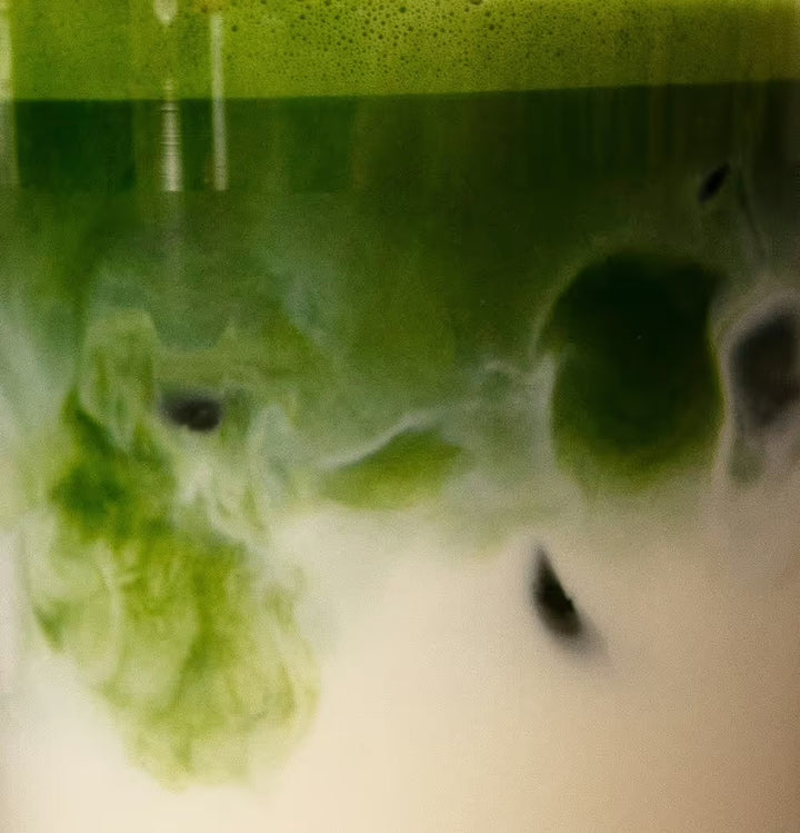 Zeremonieller Matcha – Matcha7 - Coffee Coaching Club 2