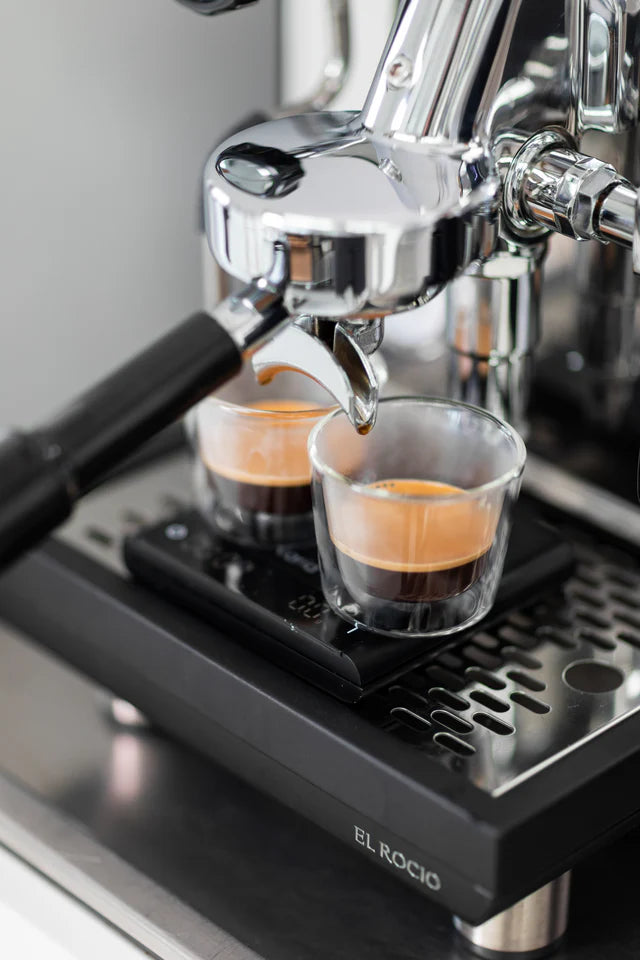 Varia SIP doppelwandiges Glas Detailansicht – Coffee Coaching Club 6