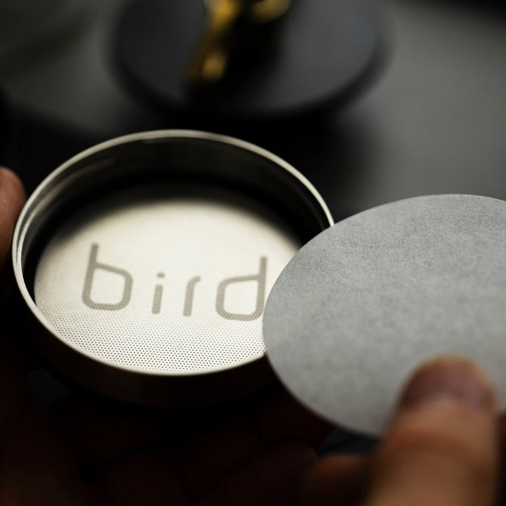 Weber Workshops x Sibarist BIRD paper filter – Coffee Coaching Club 3