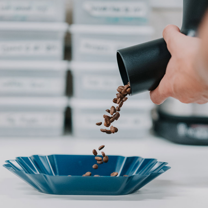 Rhino Coffee Gear Bean Scoop - Coffee Coaching Club