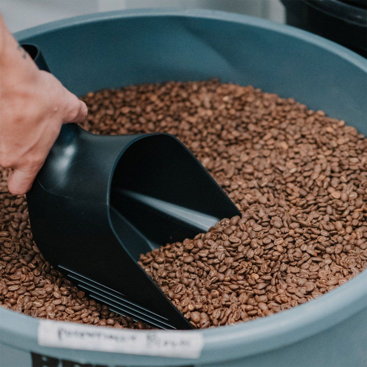 Rhino Coffee Gear Bean Scoop - Coffee Coaching Club