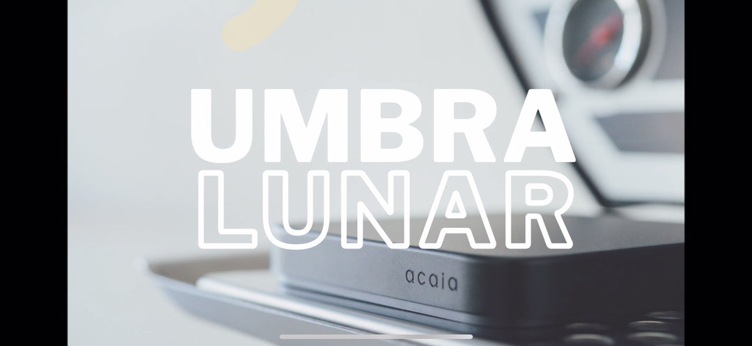 Acaia Umbra Lunar